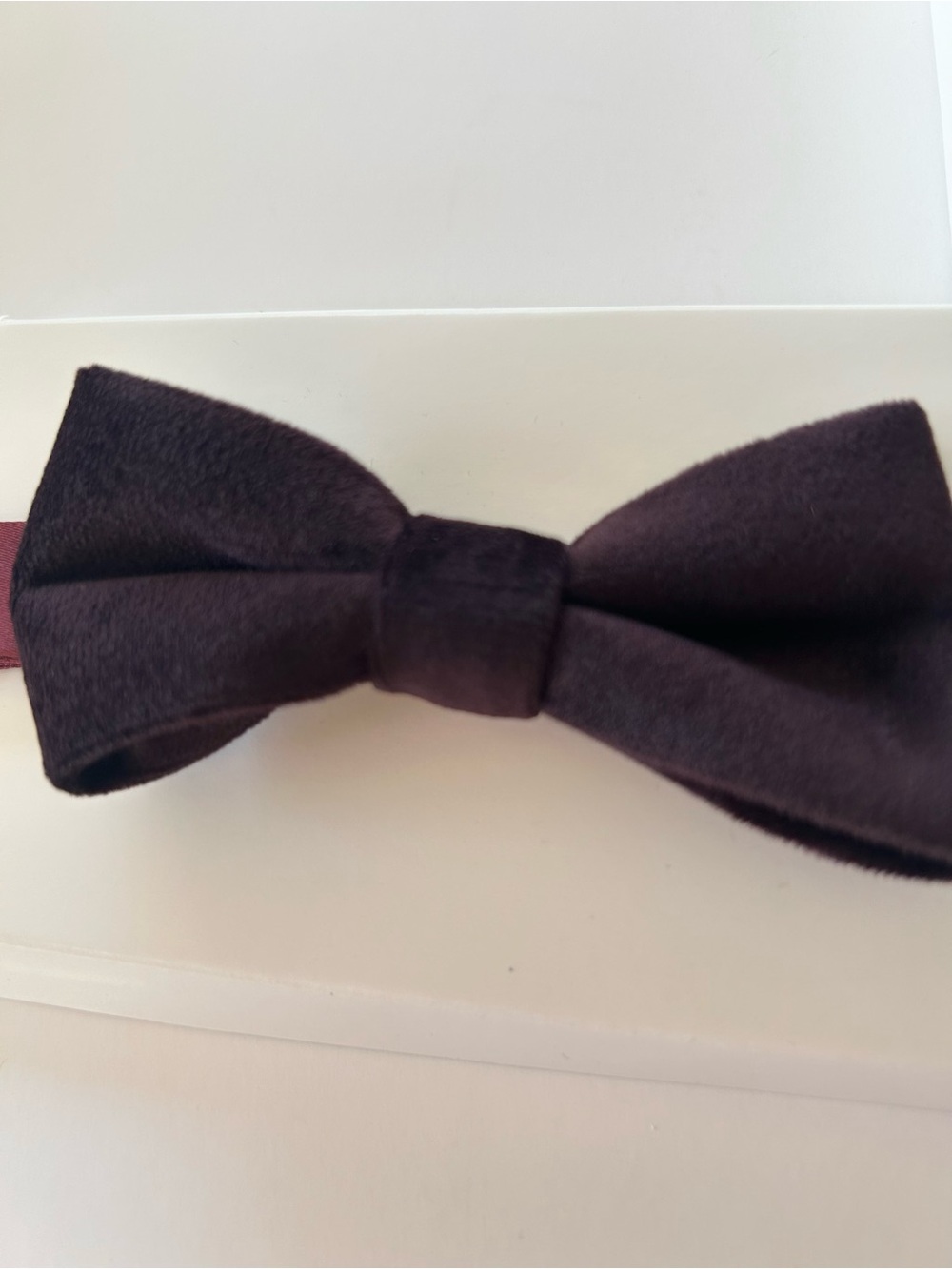 New in Box Appaman Fine Tailoring Eggplant Velvet Adjustable BowTie Kids Baby&Up - Picture 2 of 8